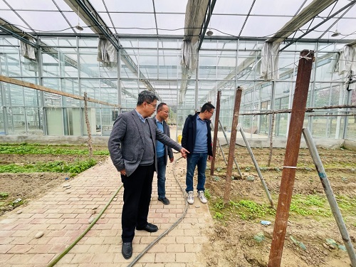 赵同胤一行实地调研畜牧系温室实验基地.jpg